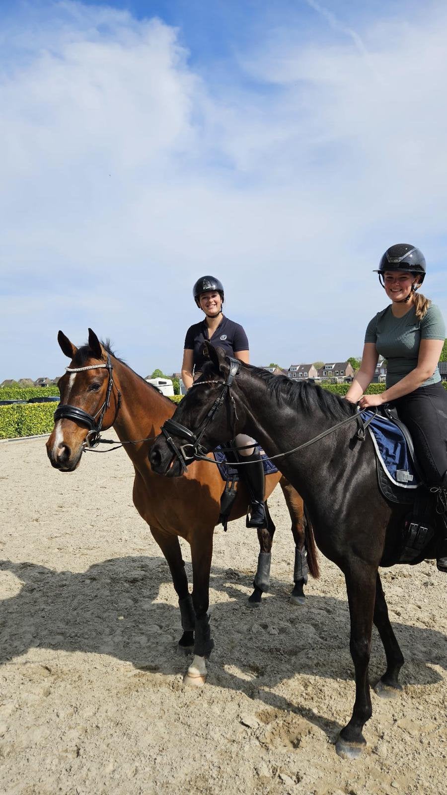 Gezocht fijne stal/accommodatie voor 2 merrie’s, Stalling, 2 of 3 paarden of pony's