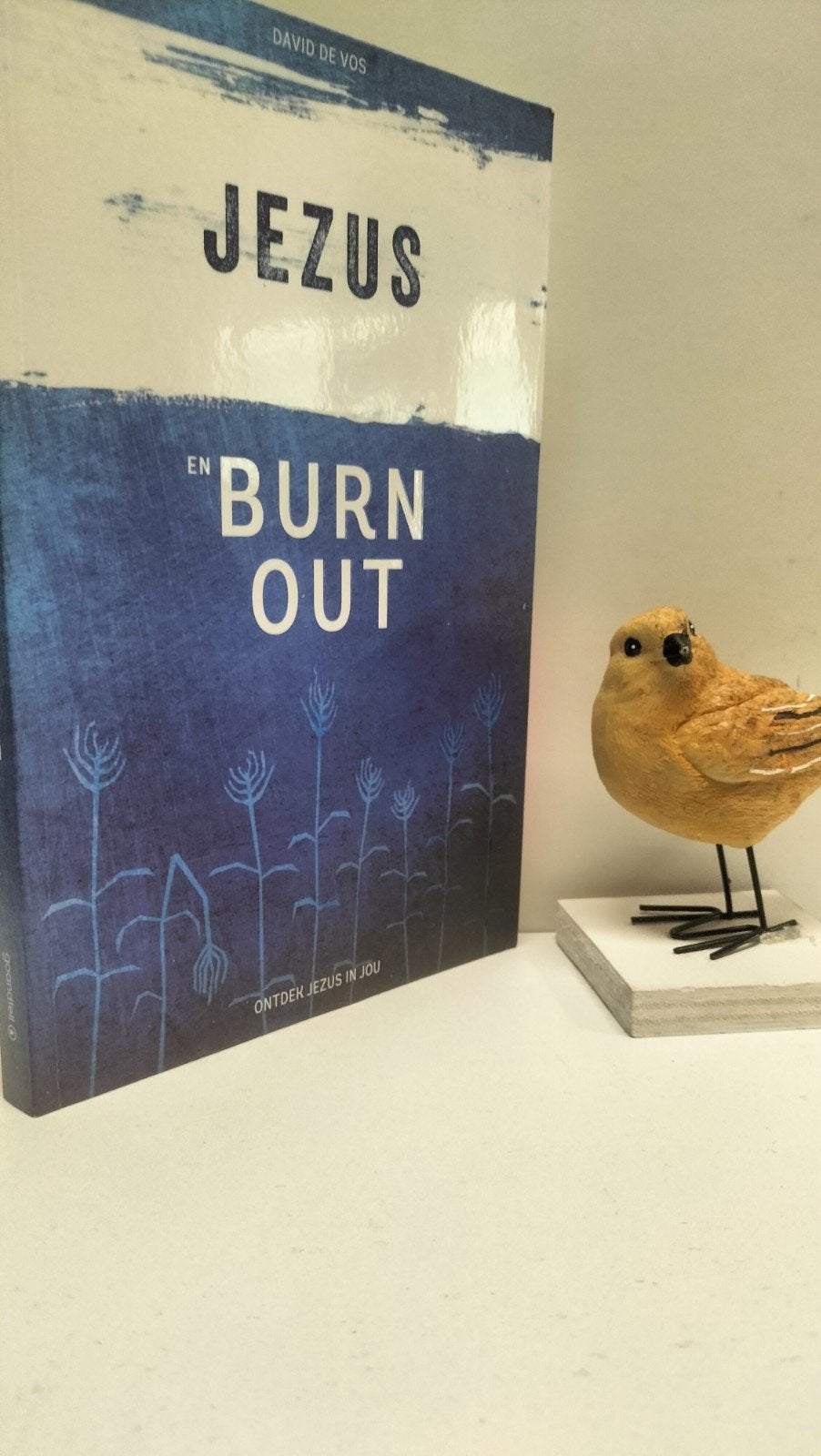 Vos, David de; Jezus en burn out, Ophalen of Verzenden, Gelezen, Christendom | Protestants