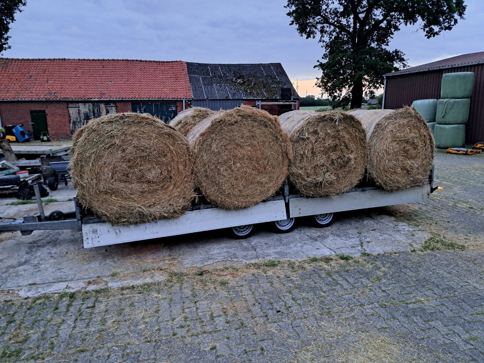 Hooi balen paarden pony's hooibalen, Dieren en Toebehoren, Dierenvoeding, Ophalen of Verzenden