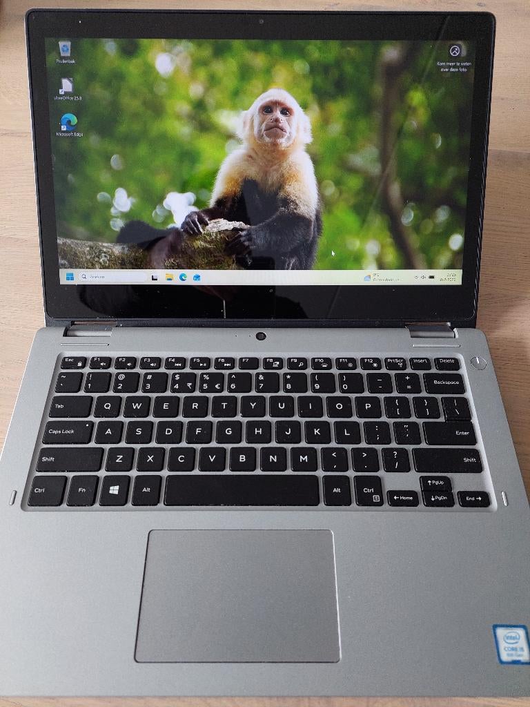 Dell Latitude 3310- laptop en tablet 2-in-1 - Intel core i5, Computers en Software, Windows Laptops, 256 GB, Qwerty, 13 inch, Ophalen of Verzenden