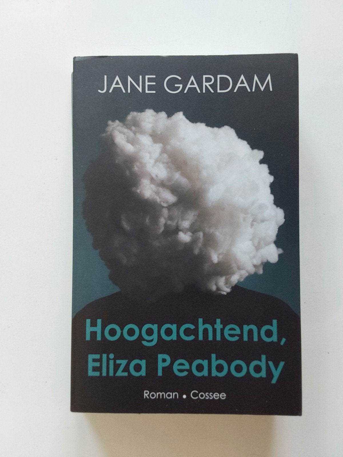 Jane Gardam : Hoogachtend, Eliza Peabody, Gelezen, Europa overig, Ophalen of Verzenden, Jane Gardam