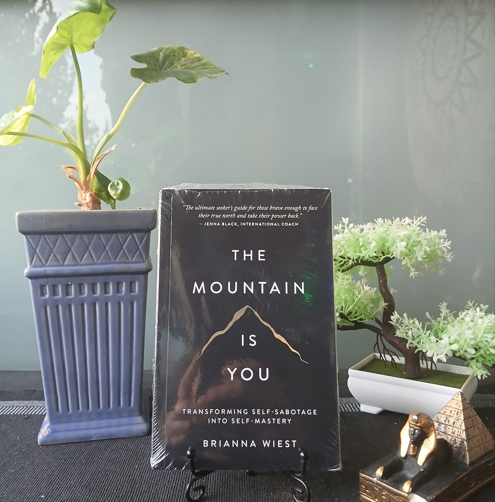 The Mountain Is You - Brianna Wiest (Nieuw), Ophalen of Verzenden, Nieuw, Brianna Wiest