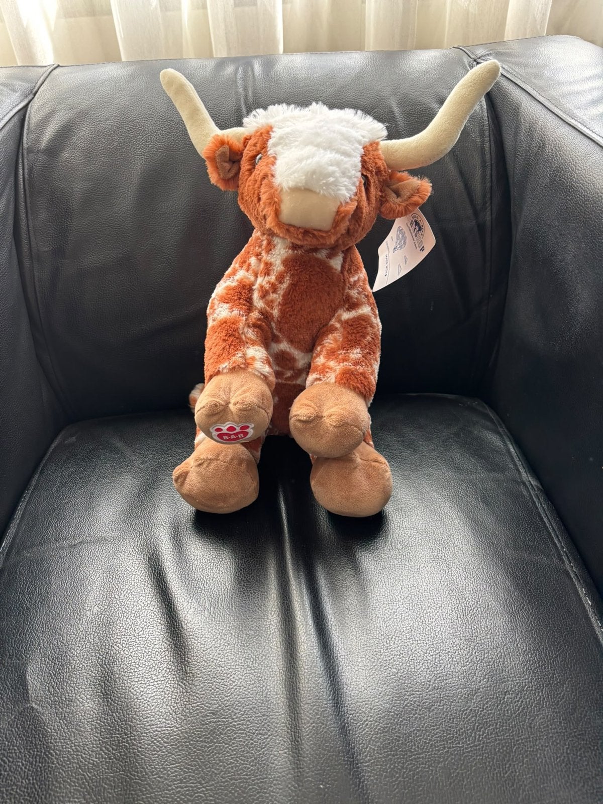 Nieuwe Build-A-Bear Longhorn, Overige typen, Nieuw, Ophalen of Verzenden, Met label