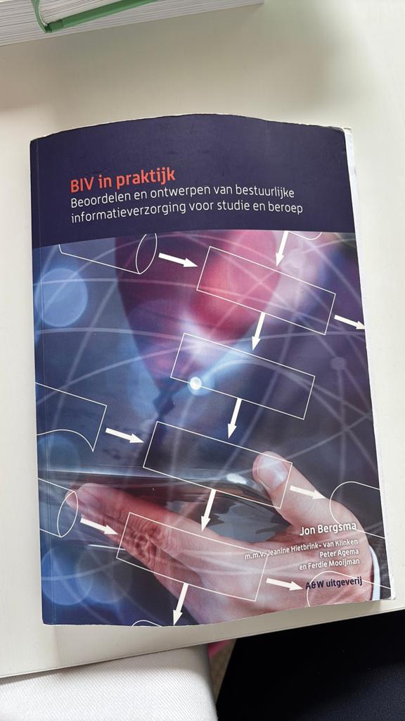 Jon Bergsma - BIV in praktijk, Boeken, Ophalen of Verzenden, Jon Bergsma, Management, Zo goed als nieuw