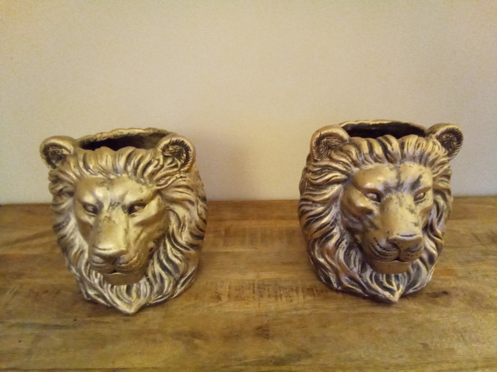STOERE NIEUWE LEEUWEN BLOEMPOTTEN SET VAN 2 NU VOOR 20 EURO, Ophalen, Nieuw