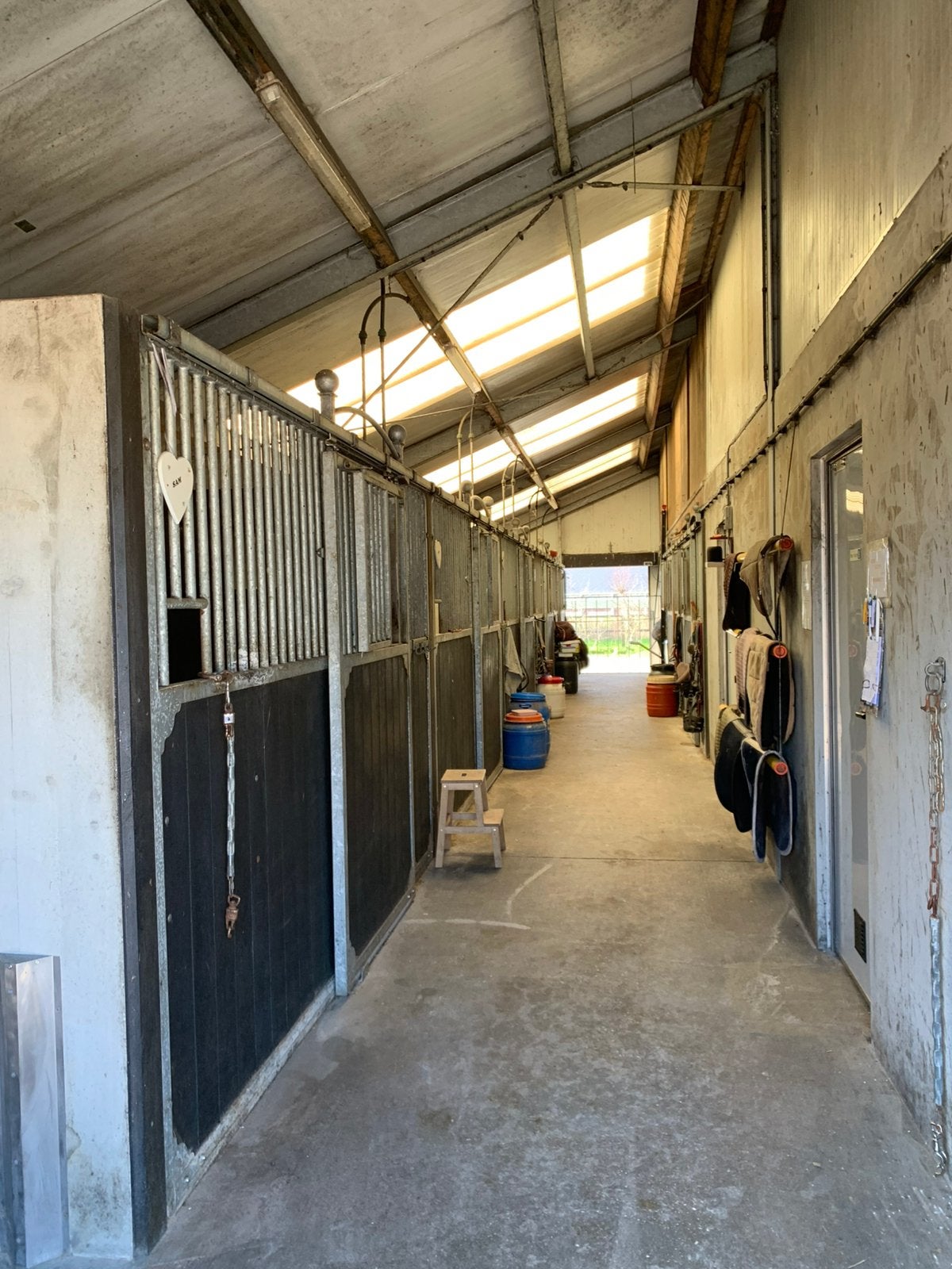 Paardenstalling te huur, Weidegang
