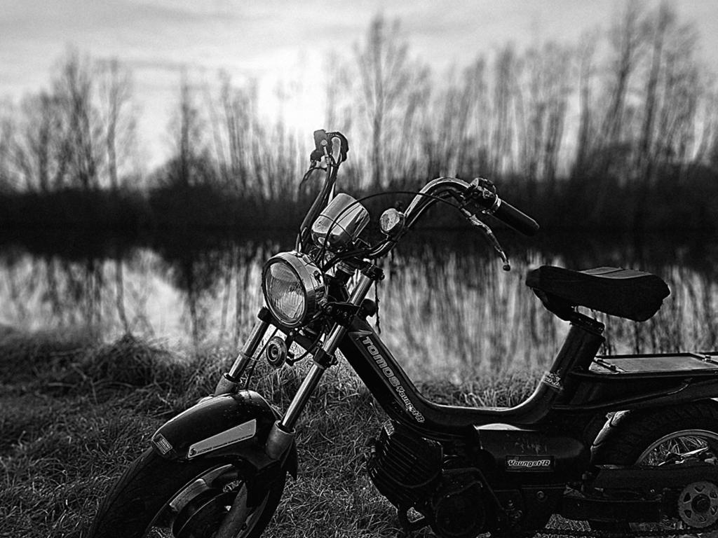 Tomos Youngstar !!Waardepeiling!!, Fietsen en Brommers, Brommers | Tomos, Ophalen, Zo goed als nieuw, Maximaal 45 km/u, Overige modellen