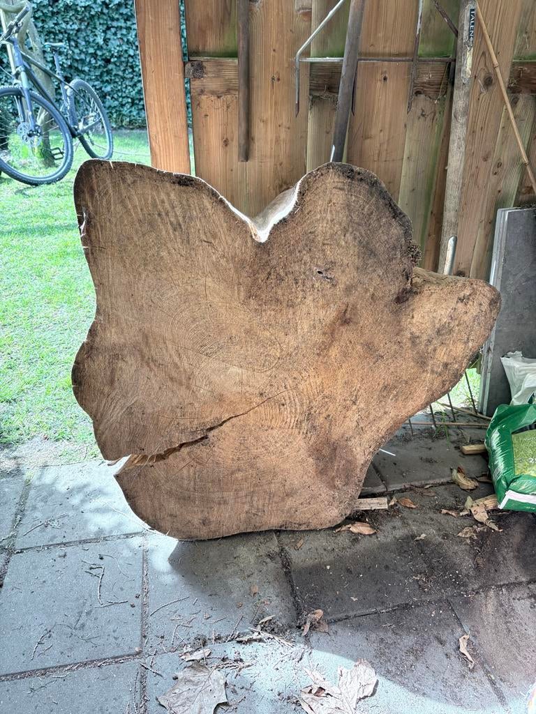 Sparren boomstronkschijf, Ophalen, 50 tot 100 cm, Nieuw, 50 tot 100 cm