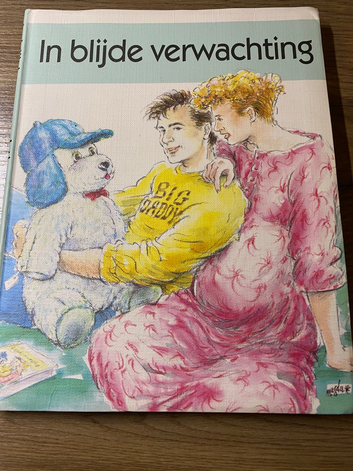 BOEK In blijde verwachting van Moeders voor Moeders, Ophalen of Verzenden, Zo goed als nieuw, Zwangerschap en Bevalling