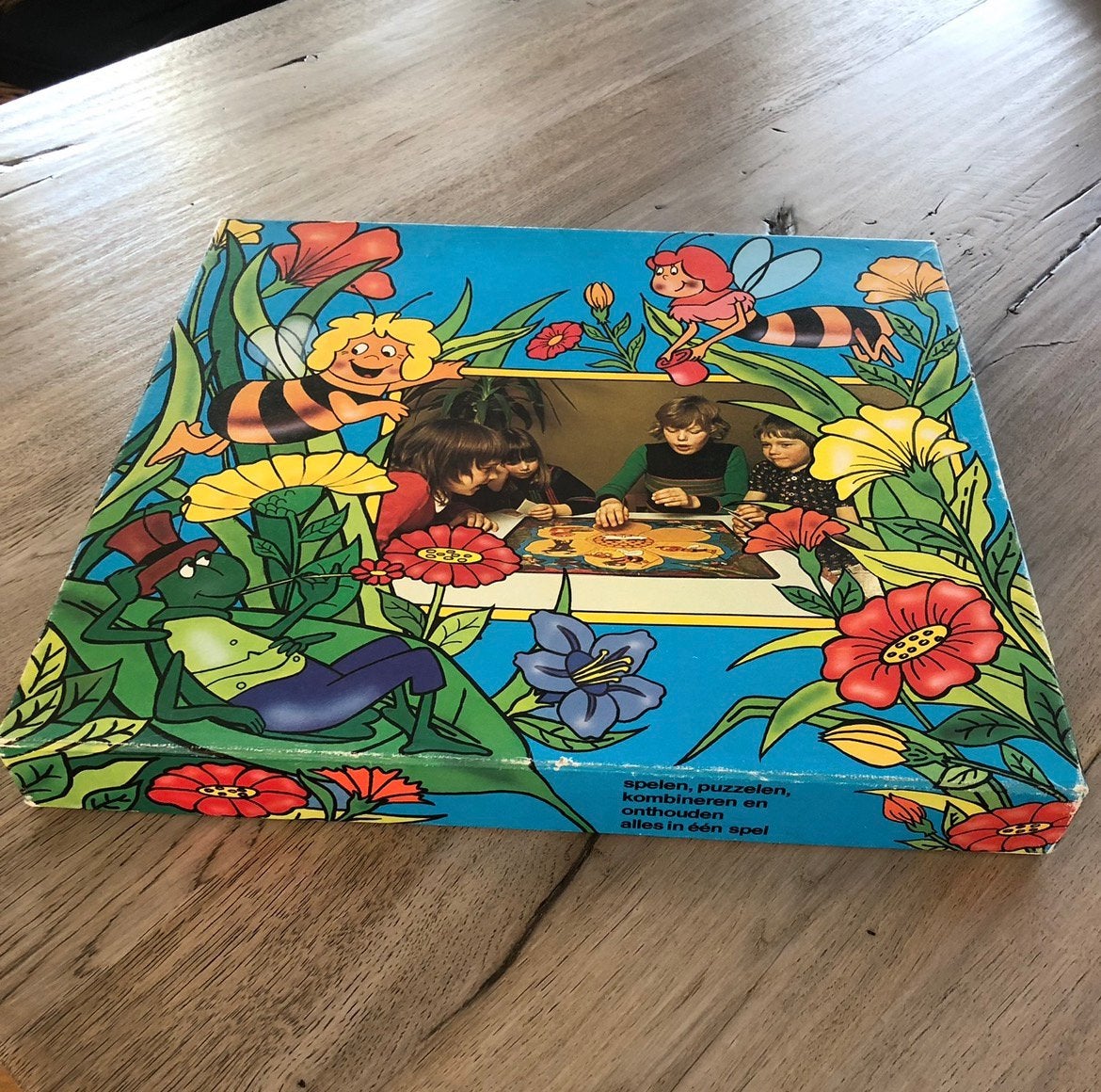 Bordspel Maja de Bij, Ophalen of Verzenden, Zo goed als nieuw