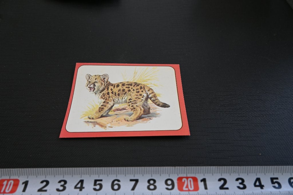 sticker panini baby zoo # 82 strip poema, Verzamelen, Stickers, Zo goed als nieuw, Ophalen