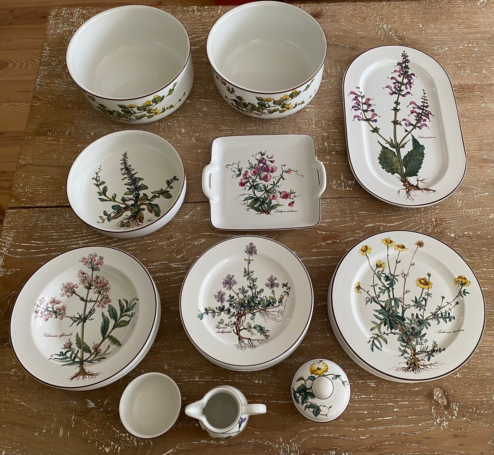 Groot Villeroy & Boch Botanica servies, Ophalen
