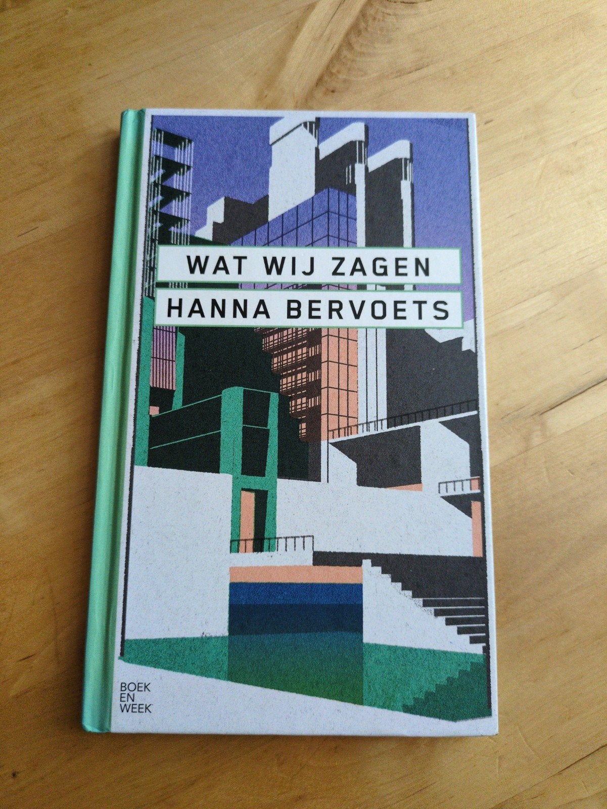 Wat Wij Zagen - Hanna Bervoets (Boek en Week), Boeken, Ophalen of Verzenden, Zo goed als nieuw, Hanna Bervoets, Nederland