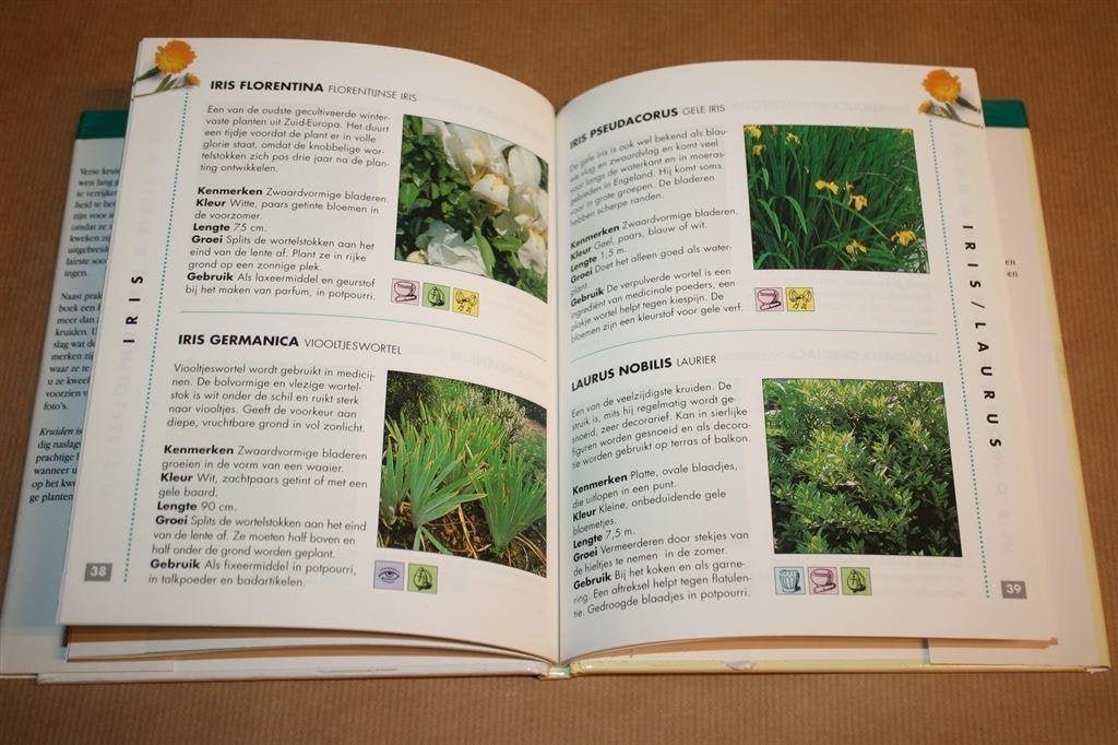 Kruiden - Natuurgids, Ophalen of Verzenden, Gelezen, Kruiden en Alternatief