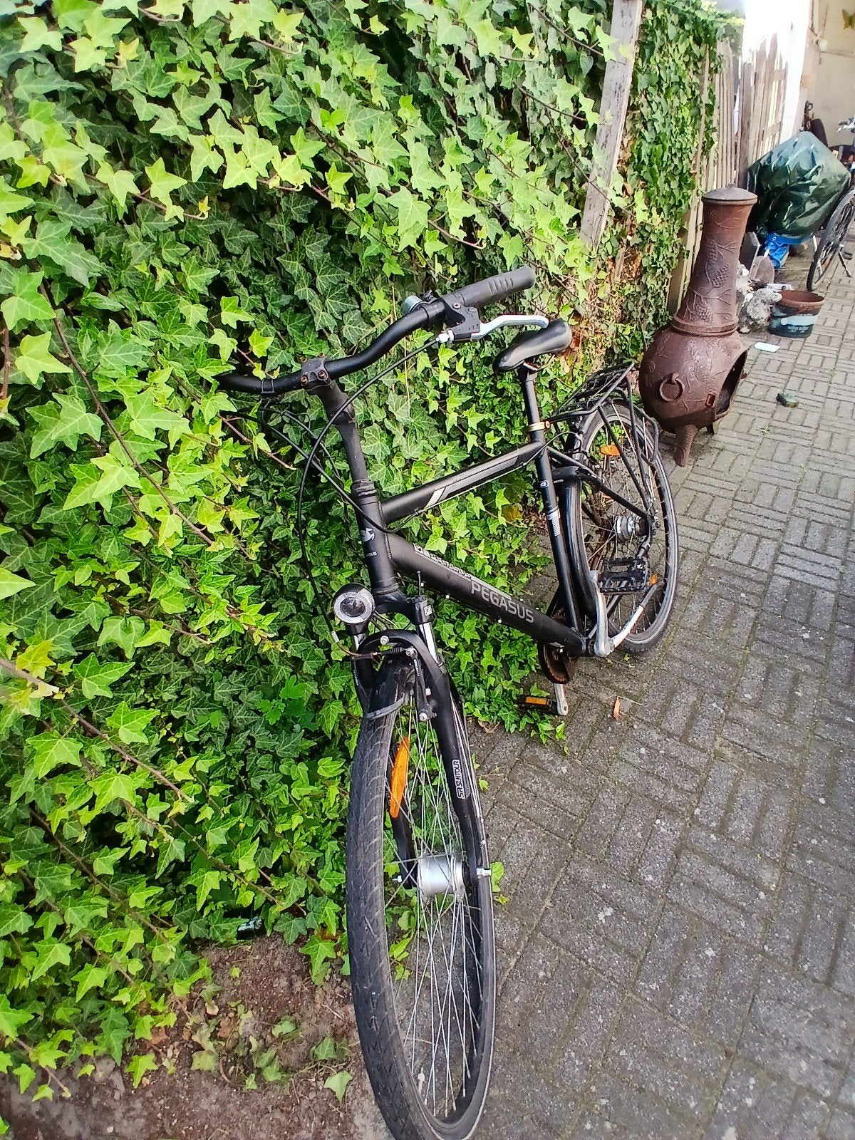pegasus pizza fiets 53 inch, Ophalen, Gebruikt, 26 inch of meer, Versnellingen