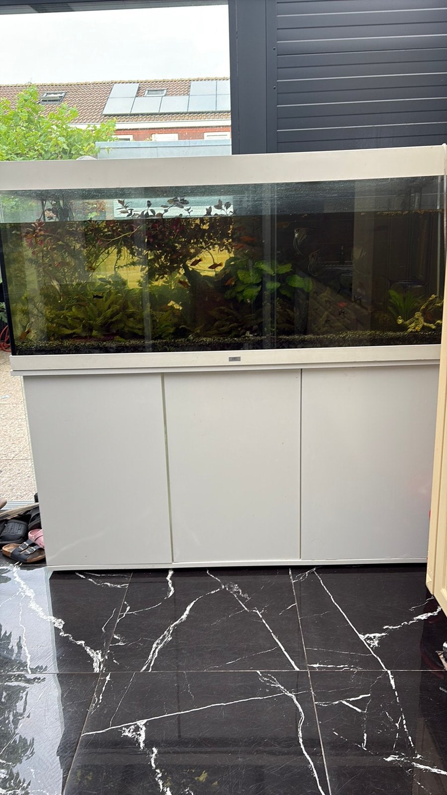 Juwel aquarium met alle toebehoren, Karper of Koi