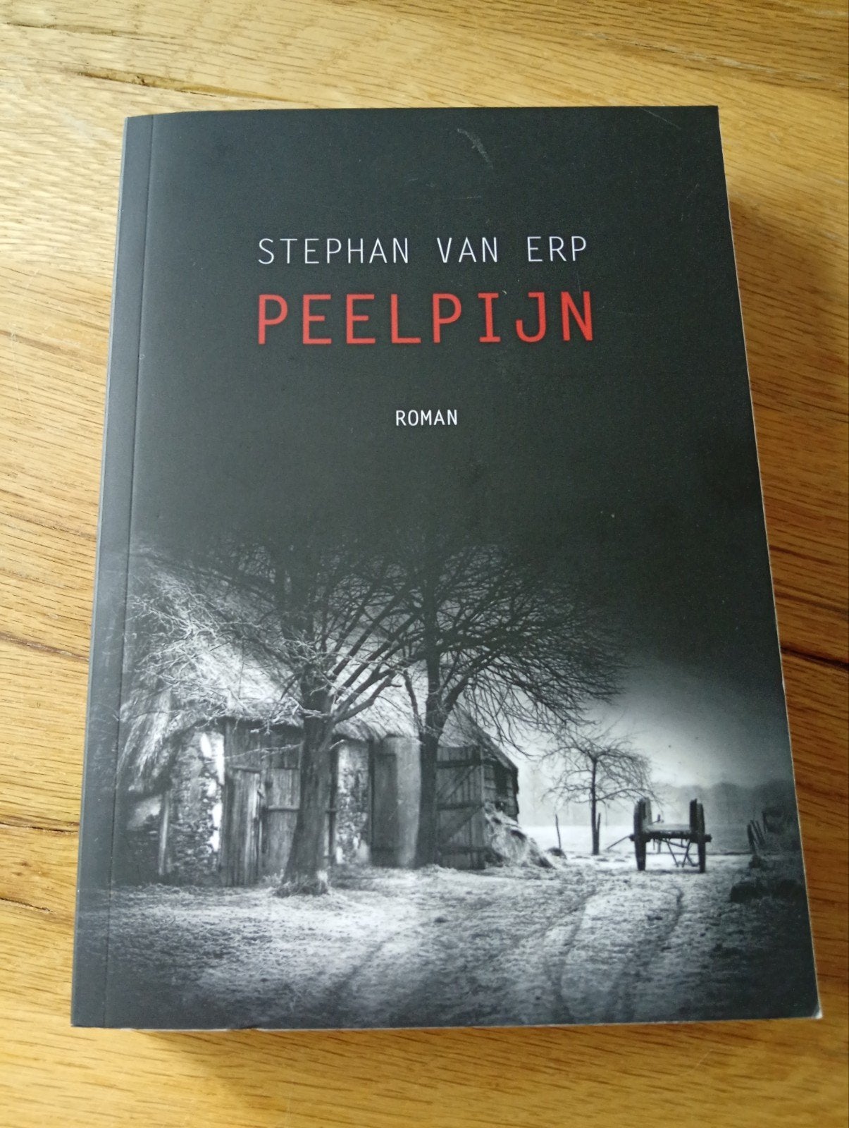 Peelpijn - Stephan van Erp (Roman), Boeken, Romans, Zo goed als nieuw, Nederland, Ophalen of Verzenden