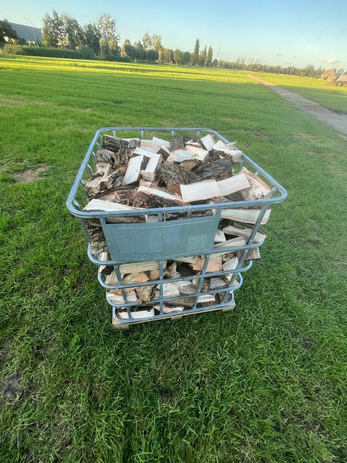 Brandhout in IBC-container, Tuin en Terras, Haardhout, Minder dan 3 m³, Ophalen, Overige houtsoorten, Blokken