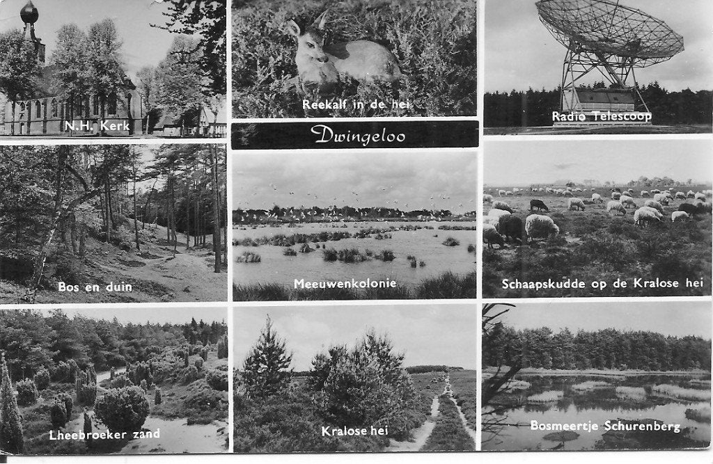 Ansichtkaart Dwingeloo - Diverse Gezichten, Ophalen of Verzenden, 1960 tot 1980, Ongelopen, Drenthe