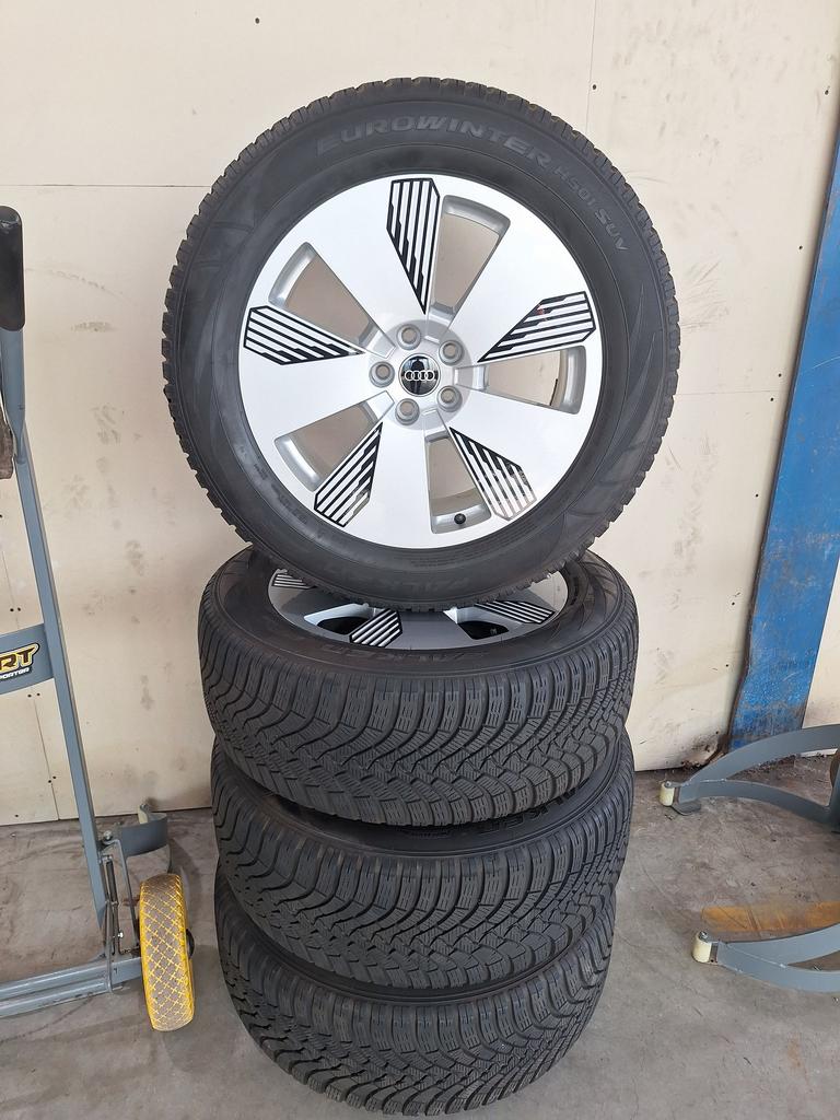 Audi E-Tron Winterset 20 Inch Origineel, Auto-onderdelen, Ophalen, Gebruikt, 255 mm, -