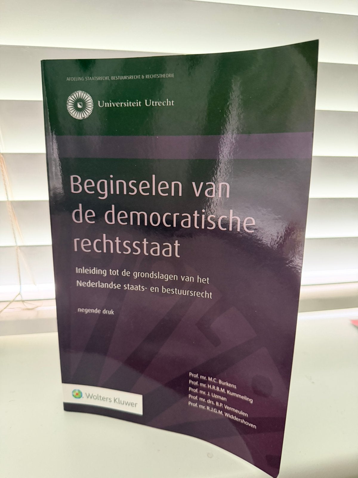 Beginselen van de democratische rechtsstaat, Boeken, Ophalen of Verzenden, Zo goed als nieuw