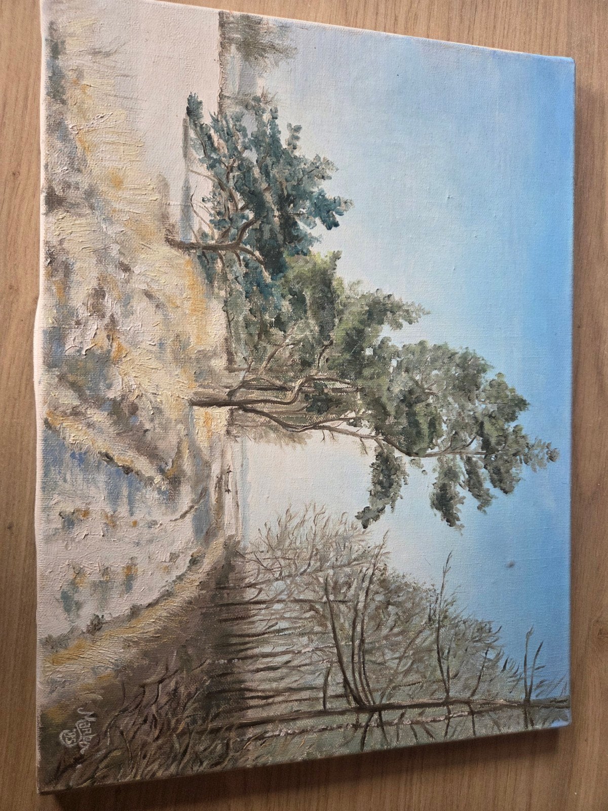Schilderij: Landschap met boom en water, Antiek en Kunst, Kunst | Schilderijen | Modern, Met textuur, Olieverf, Textiel, Landschap