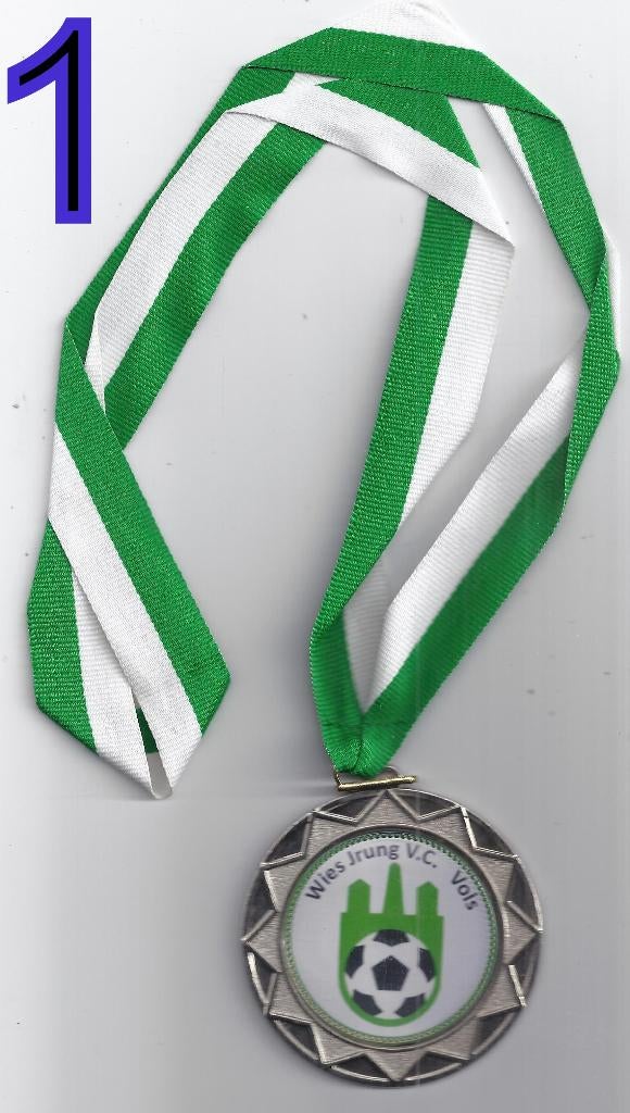 Mr203 carnavals medaille wies jrung vc vols ( vaals ) 2013, Ophalen of Verzenden, Overige materialen