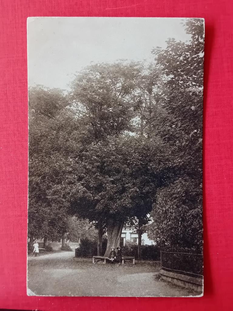 Ansichtkaart Bergen, Ophalen of Verzenden, Voor 1920, Noord-Holland