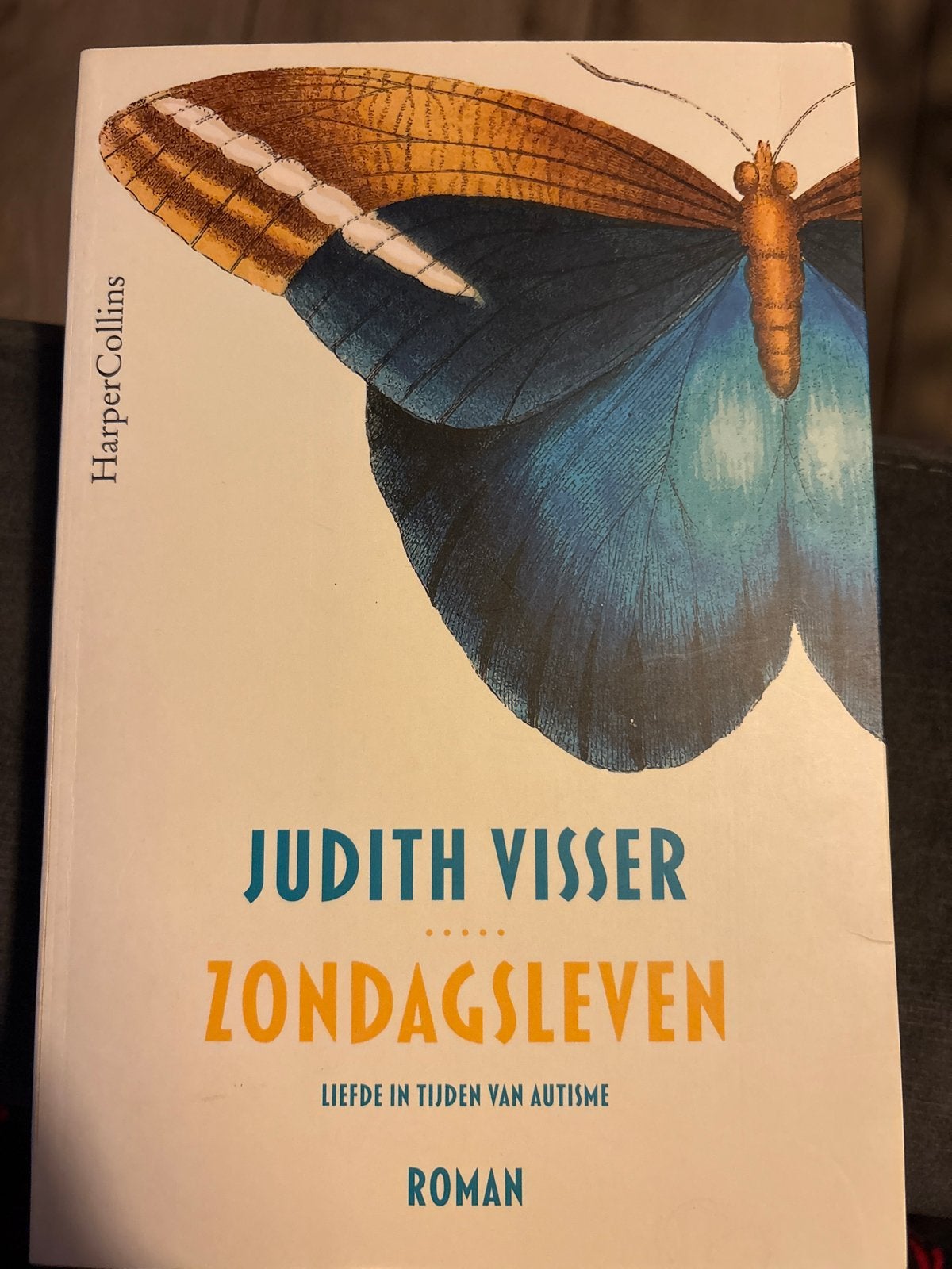 Judith Visser - Zondagsleven, Judith Visser, Ophalen of Verzenden, Zo goed als nieuw, Nederland