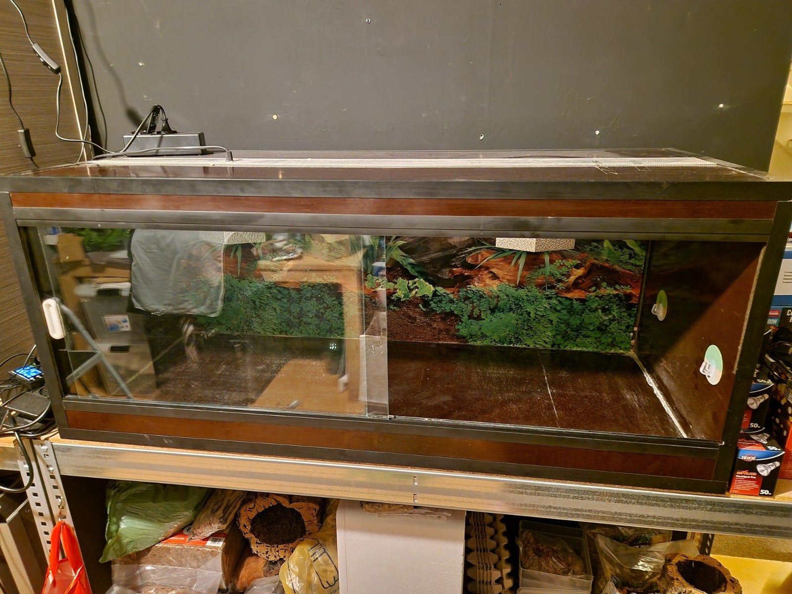 betonplex terrarium 120x50x50 licht onderhoud nodig, Ophalen, Gebruikt, Terrarium of Paludarium