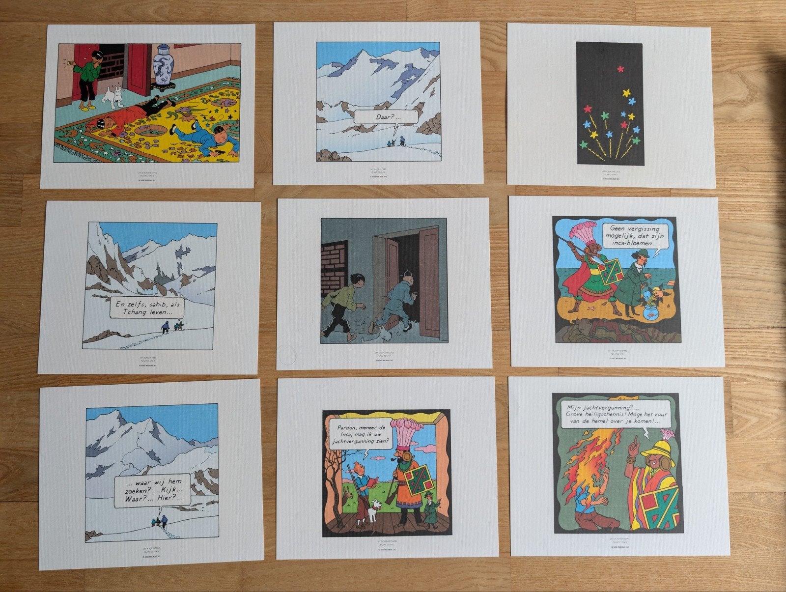 Kuifje / Tintin posters 9x, Ophalen of Verzenden
