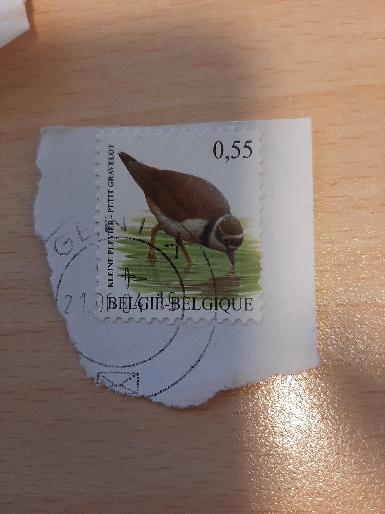 Belgie vogel plevier, Verzenden, Gestempeld