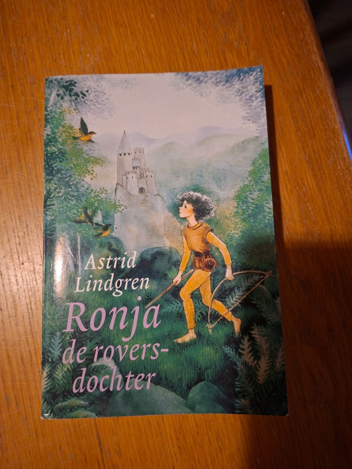 Ronja de roversdochter - Astrid Lindgren, Ophalen of Verzenden, Gelezen, Astrid Lindgren, Sprookjes
