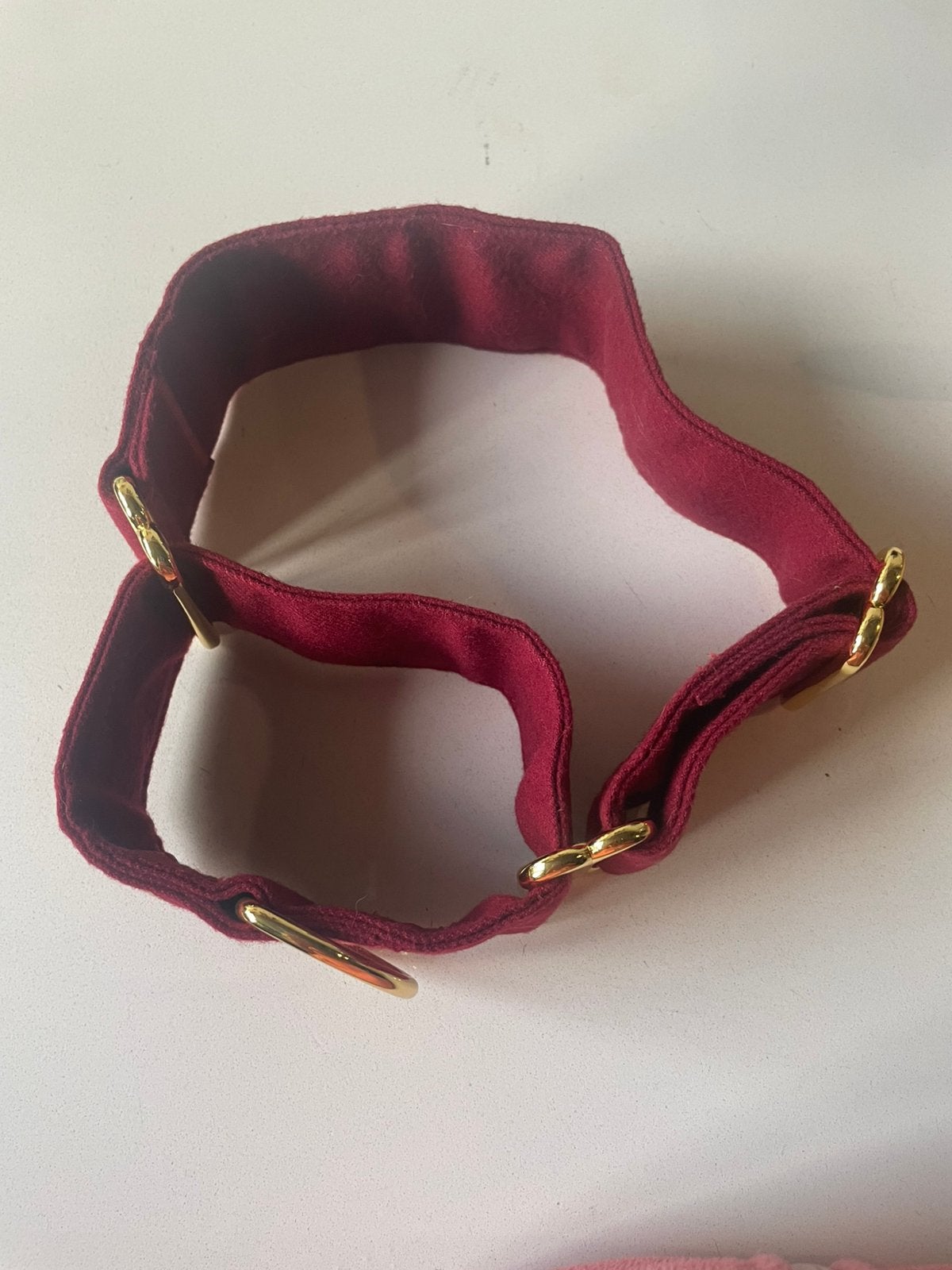 Honden halsband anti-ontsnapping / martingaal / half-check, Overige merken, Ophalen of Verzenden, Nieuw, Halsband