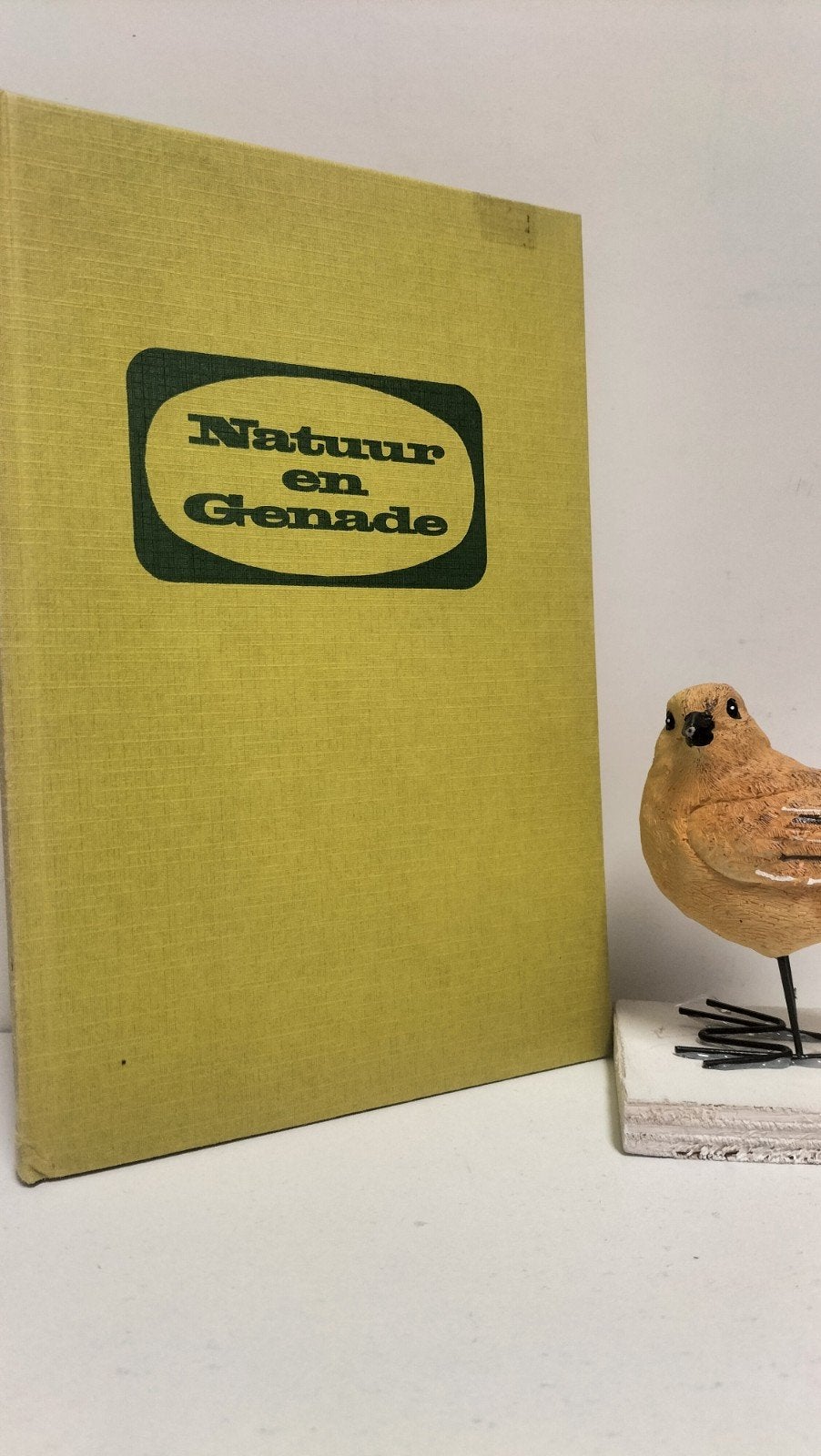 Dam, Ds. Chr. Van; Natuur en genade, Boeken, Ophalen of Verzenden, Gelezen, Christendom | Protestants