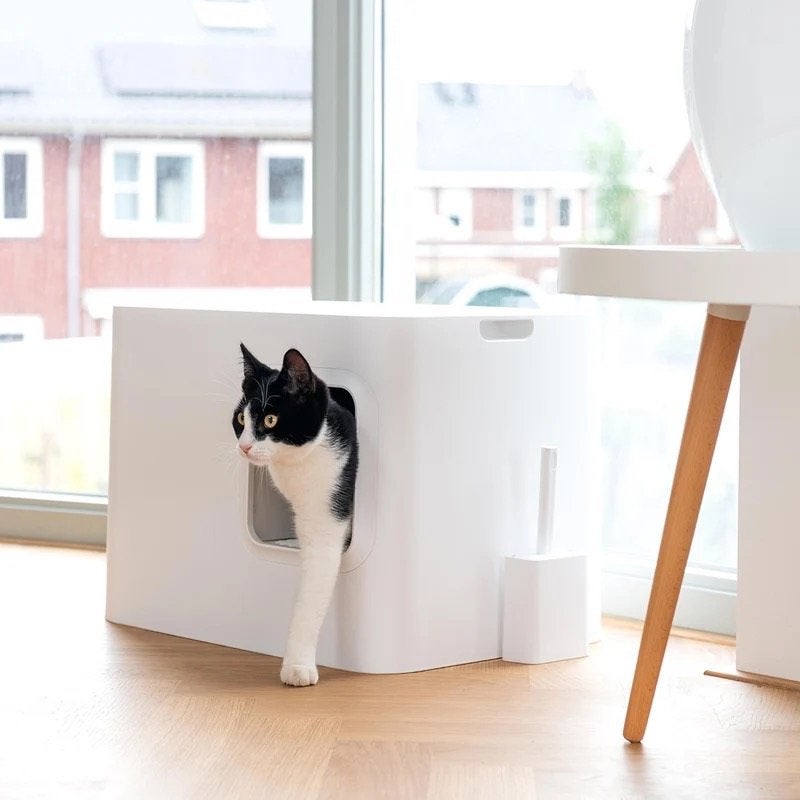 Hoopo Dome design kattenbak, Ophalen of Verzenden, Nieuw, Gesloten