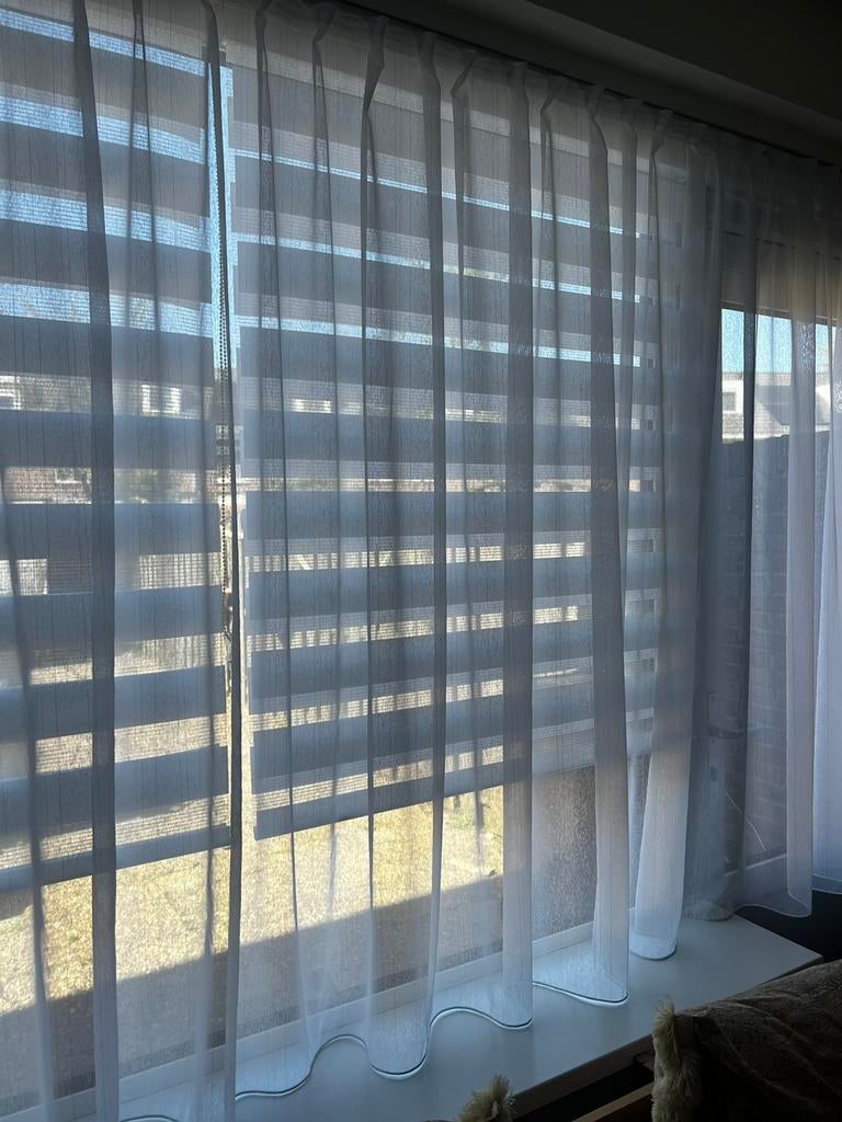 Witte vitrages 2 stuks, Ophalen, Zo goed als nieuw, Minder dan 100 cm