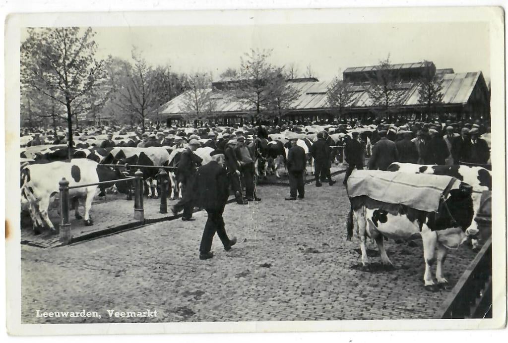 Leeuwarden - Veemarkt, Verzenden, 1940 tot 1960, Gelopen, Friesland