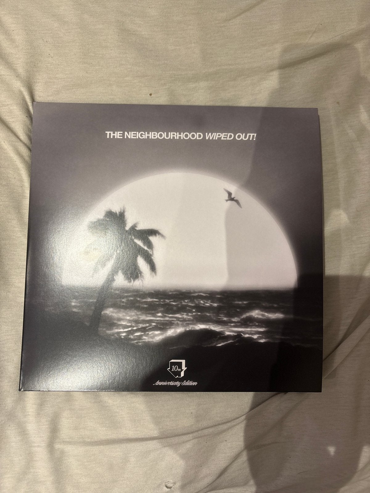 The Neighbourhood - Wiped Out! (10th Anniversary Edition), Cd's en Dvd's, Ophalen of Verzenden, Zo goed als nieuw, 12 inch, Indie