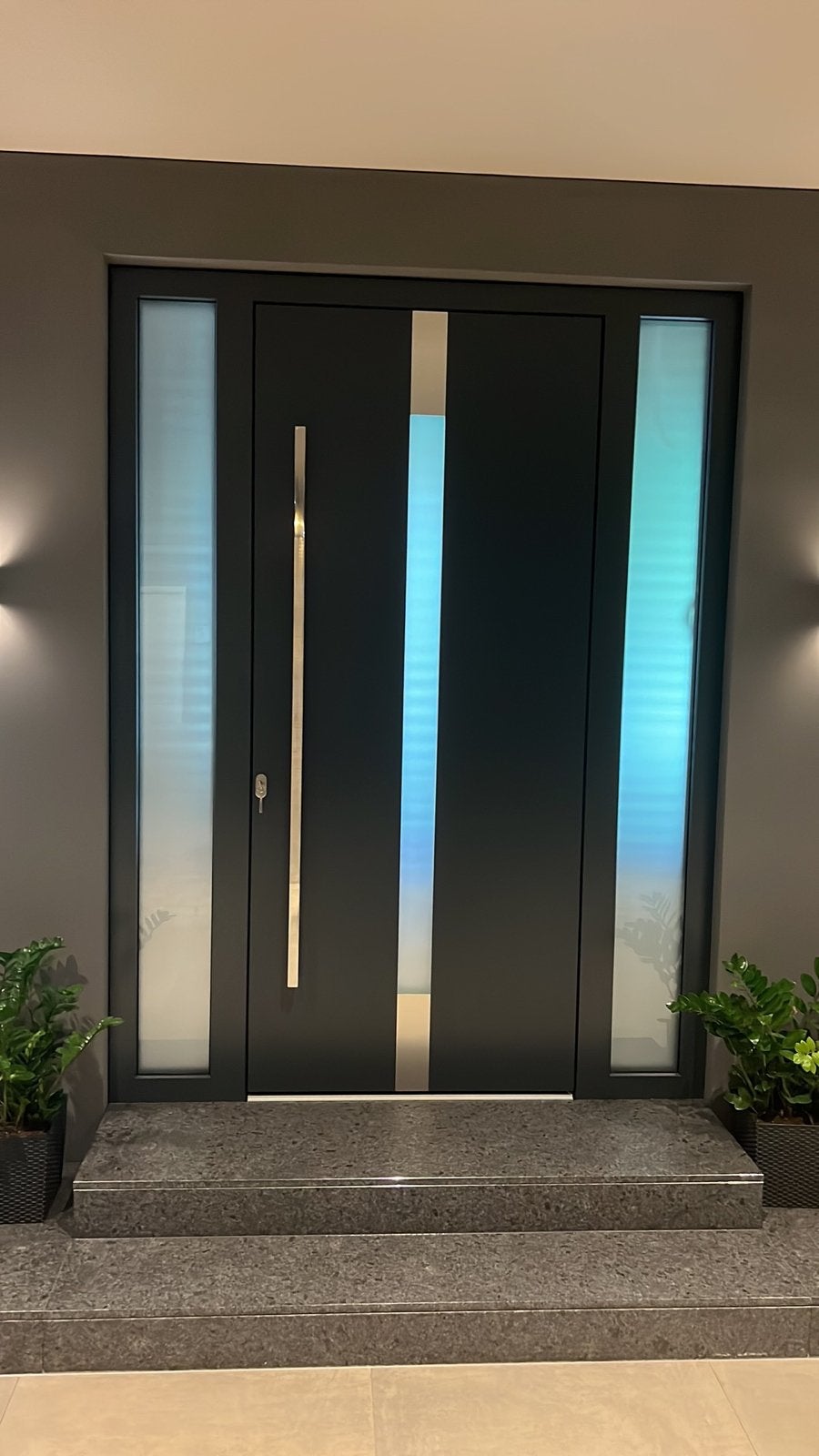 Moderne Buitendeur met Glas en Metaal, Ophalen of Verzenden, Zo goed als nieuw