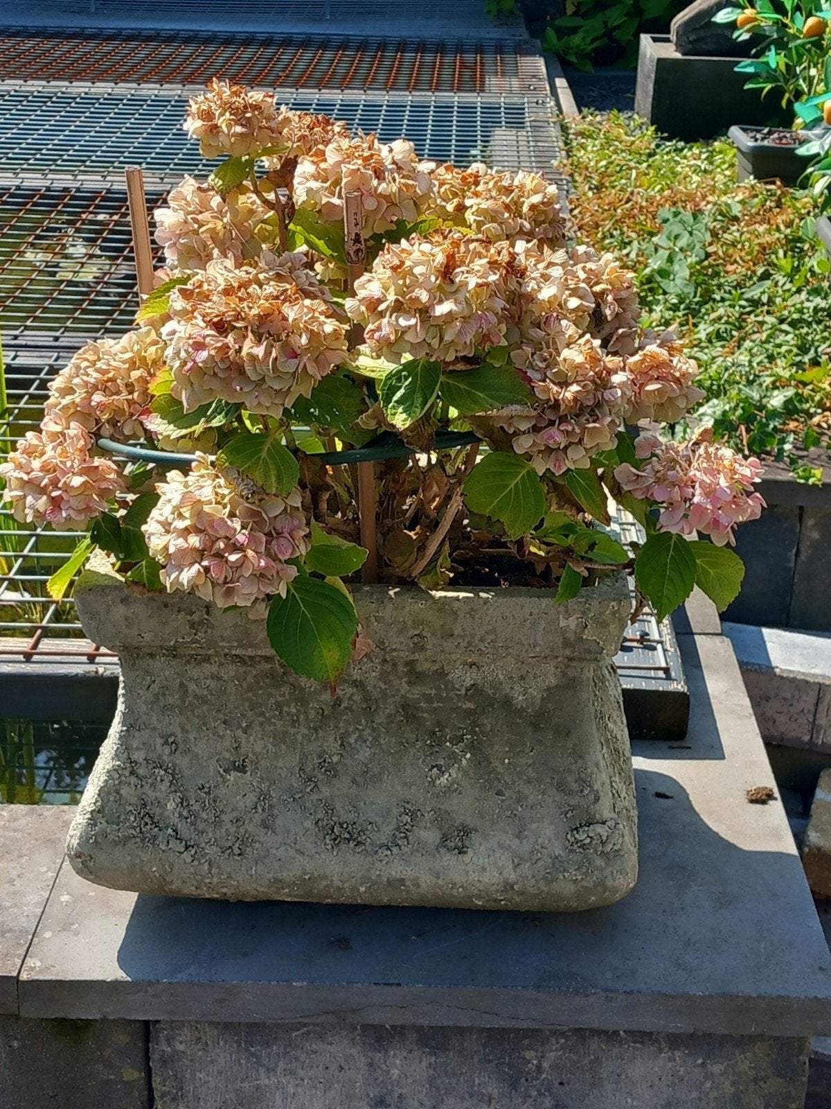 2 Brynxz bloempotten, Gebruikt, Binnen, Minder dan 40 cm, Overige vormen