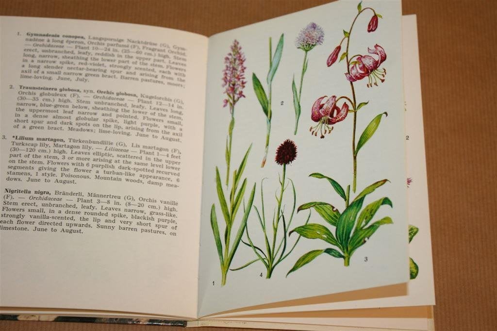 Alpine flowers - Walter Rytz, Boeken, Natuur, Ophalen of Verzenden, Gelezen, Vogels