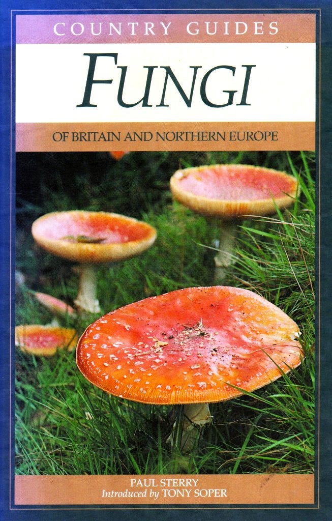 Fungi - Paul Sterry / 9781851528103, Ophalen of Verzenden, Zo goed als nieuw, Paul Sterry & Sean Milne (Illustraties) & Tony Soper (intro)