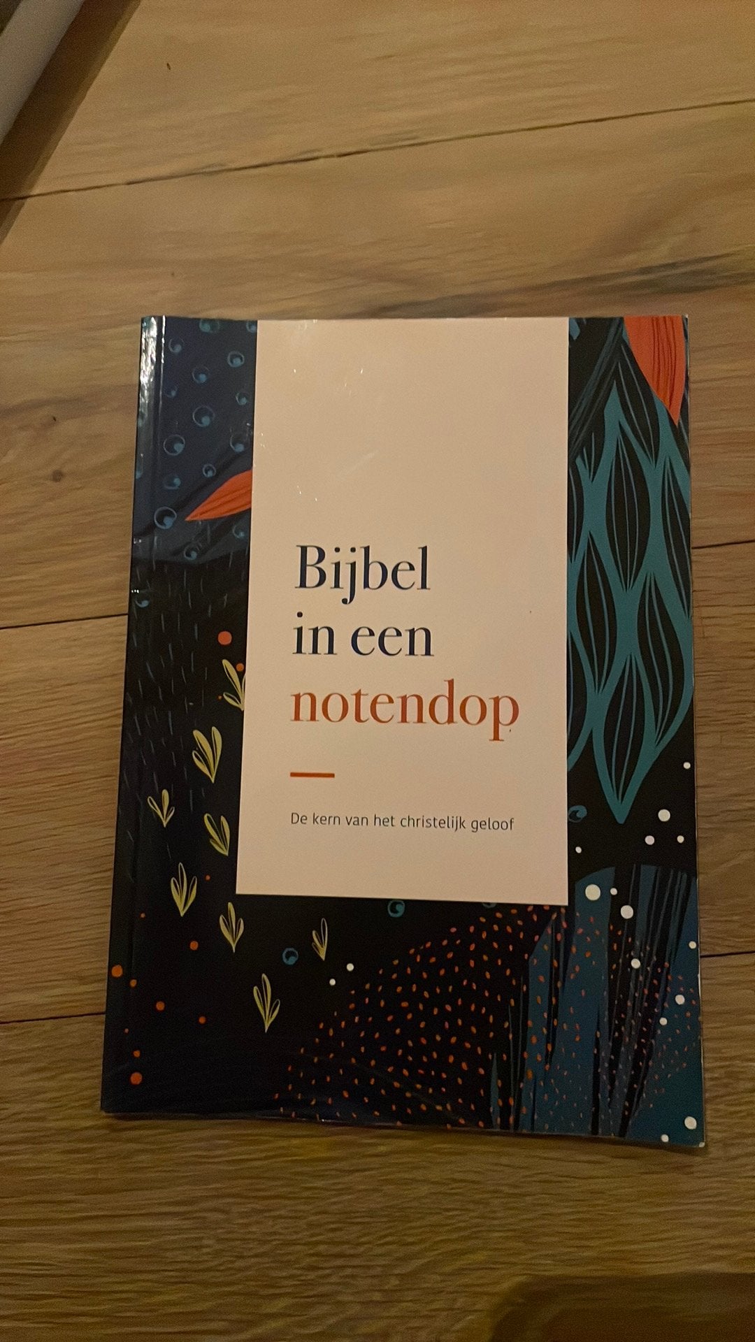 Bijbel in een notendop, Ophalen of Verzenden, Zo goed als nieuw