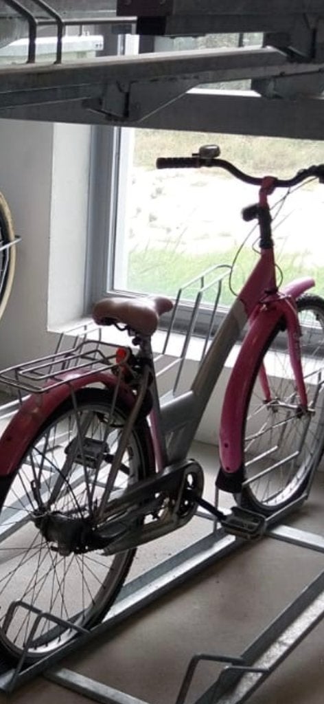 Kinderfiets meisje, Terugtraprem, Handrem, Ophalen, Overige merken