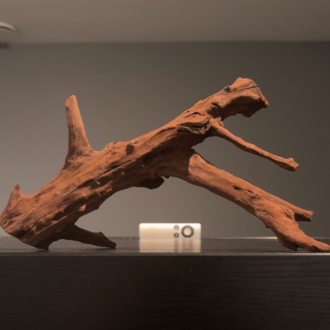Mooi stuk Kienhout / Spiderwood / Driftwood, Hout Decoratie, Ophalen of Verzenden, Zo goed als nieuw, Plant(en), Steen of Hout