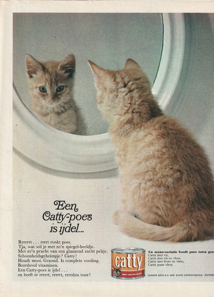 Retro reclame 1966 Catty kattenvoer poes voor de spiegel, Verzamelen, Verzenden, Overige typen