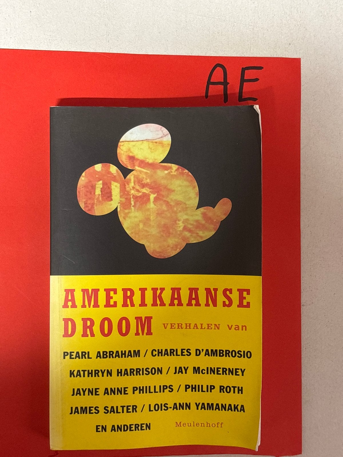 Amerikaanse Droom - Verhalen van diverse auteurs, Ophalen of Verzenden, Zo goed als nieuw, Amerika