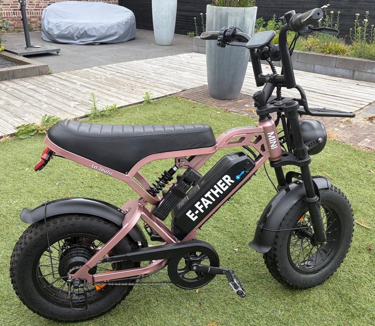 E-FATher V20 Mini E-bike - Zo goed als nieuw, Zo goed als nieuw, Minder dan 47 cm, 30 tot 50 km per accu, Ophalen