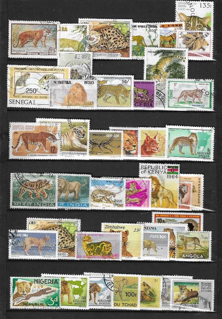 Katachtigen wilde katten postzegels., Verzenden, Gestempeld, Dier of Natuur